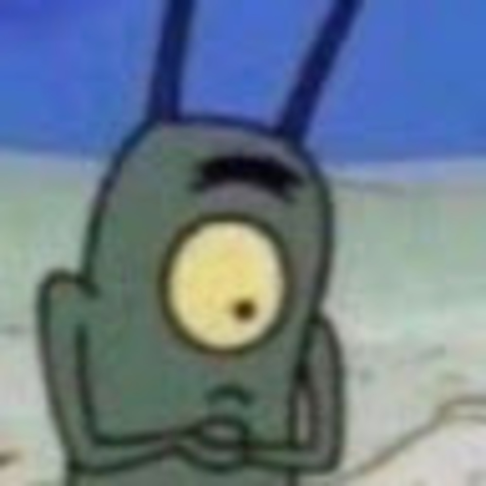 Meet your Posher, Shelby